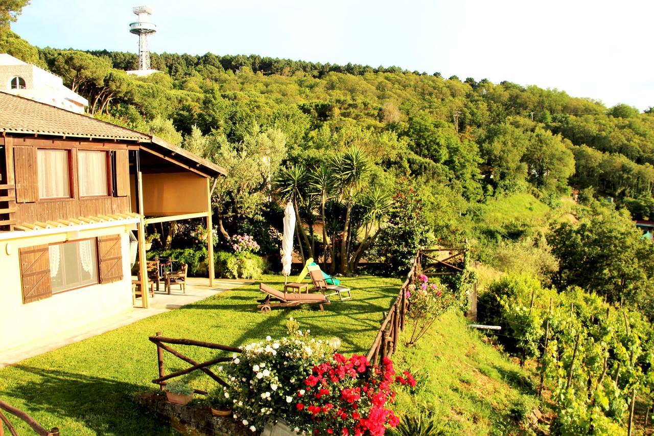 Chalet Annie Villa Sorrento Eksteriør billede